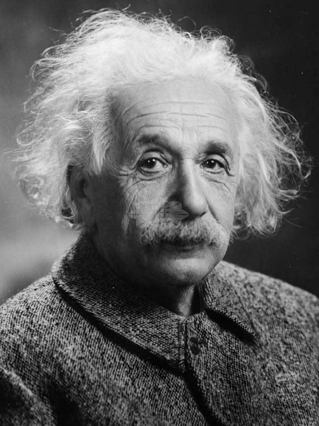 科学研究のため という大嘘 死後も翻弄され続ける アインシュタイン の最期 お知らせ コラム 葬式 葬儀の雅セレモニー
